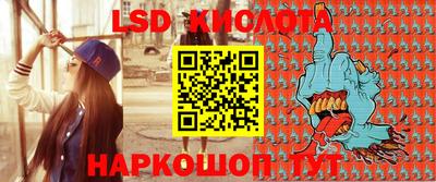 крисы Абакан