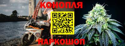 крисы Абакан