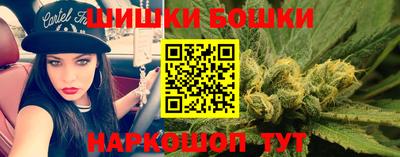 крисы Абакан