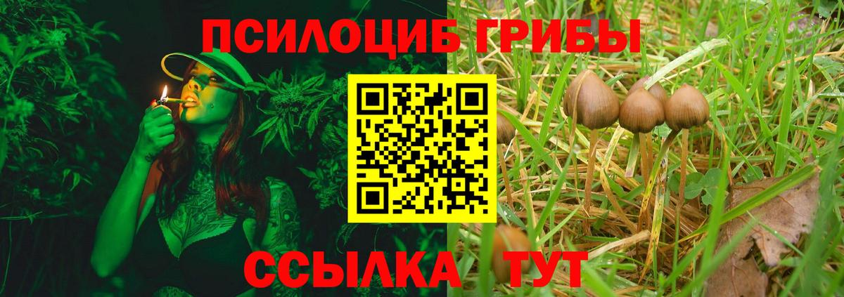 Галлюциногенные грибы Cubensis  Вход с VPN  Алексин 